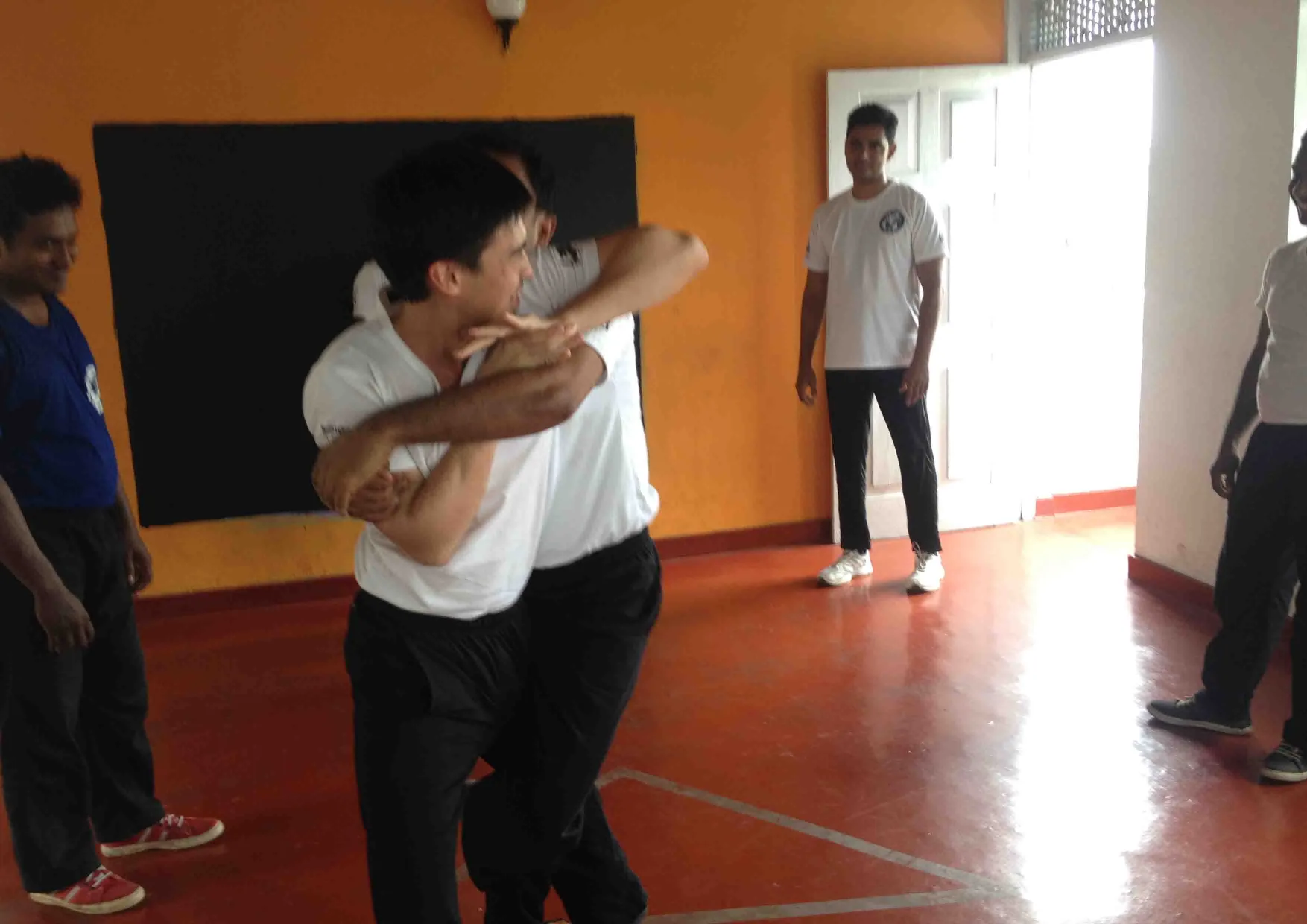 Wing Tsjun Kung Fu